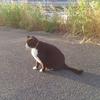 ウニトゲ丸