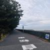 たすく_310