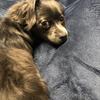 メンタリティー向上