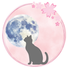 みお　Canvaデザイン制作