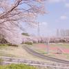 ARato_615