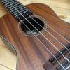 JUNLELE