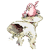 ivyoomori