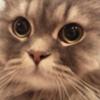 うにちゃん