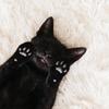 黒猫の一歩でも前へ
