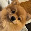 ポソタ