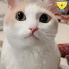 ぁかねぬーーん