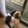 さーやさん