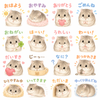 如月波音