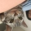 精神科看護ならお任せ
