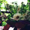 gardenk