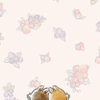 hIyooRi