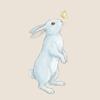 bossrabbit