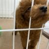 心のパートナー