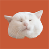 mofmoku