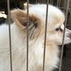 こうキ