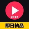 合同会社ILY