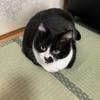 はるゆうママ