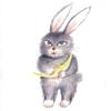 Rabbit and Moon