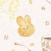 little ┊︎ イラストレーター