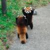 元児童養護施設職員のりーさん