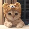 ぽんぽんドS