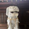 セイリュウユタカ