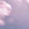 雨ふらし。