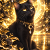 spirituaCardreader黒猫