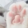 こここぬこ