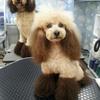 muffy0722