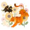 よね｜Web制作