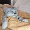 あなたの利益アップに貢献するエンジニア
