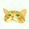 プラバン工房