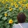 YUKA自己受容×潜在意識で願いを叶える