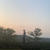 hakoyama