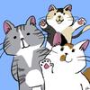 いづみさん