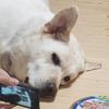 ほっこり屋