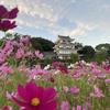能天気マサヤ