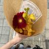 由芽_生きづらい人へ