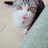 kkkiiiyo