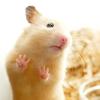 よしゅまる　人物レタッチ