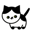 rinoki