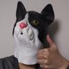 キャットマンikeda