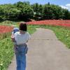 nozomi＿design