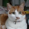 園子の 夫