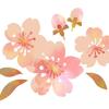 ayame_