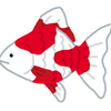 白金魚