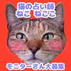 ねこねここ☆猫の占い師