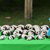 wang_wang